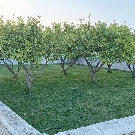Casa Vacanze Salento: Charlotte Torre Santa Susanna